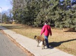 man-walk-dog Man Walking Dog
